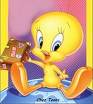 pour raphe